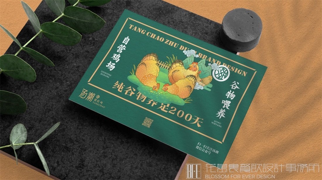 【湯潮豬肚雞】中餐餐飲全案策劃設(shè)計(jì)案例圖片 9